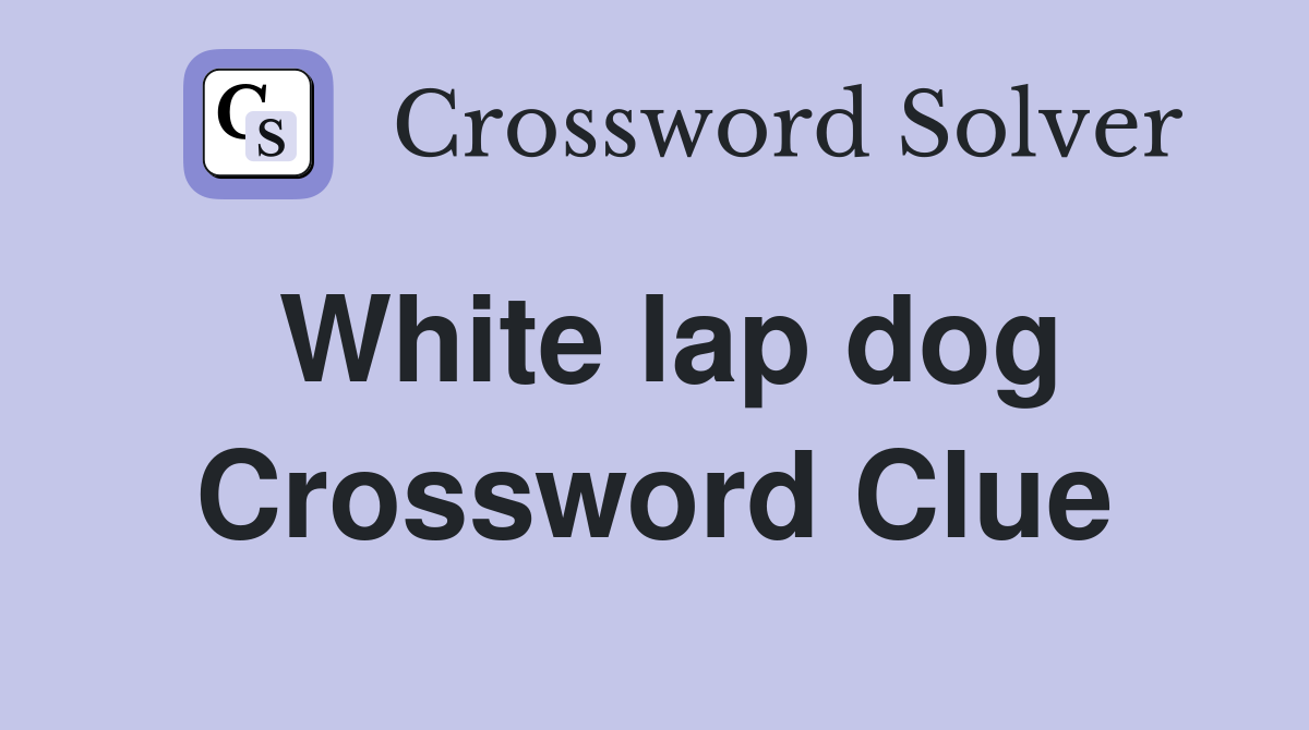 White lap dog Crossword Clue