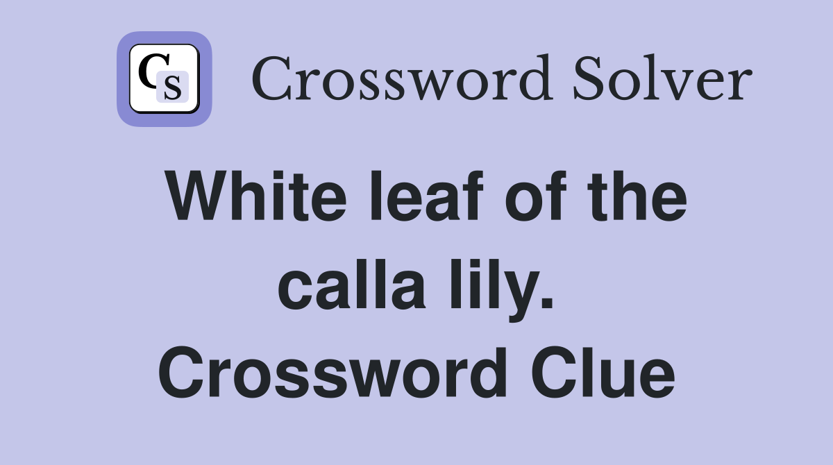 White leaf of the calla lily. Crossword Clue
