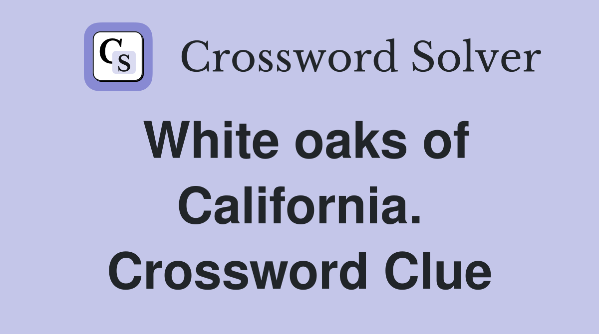 White oaks of California. Crossword Clue