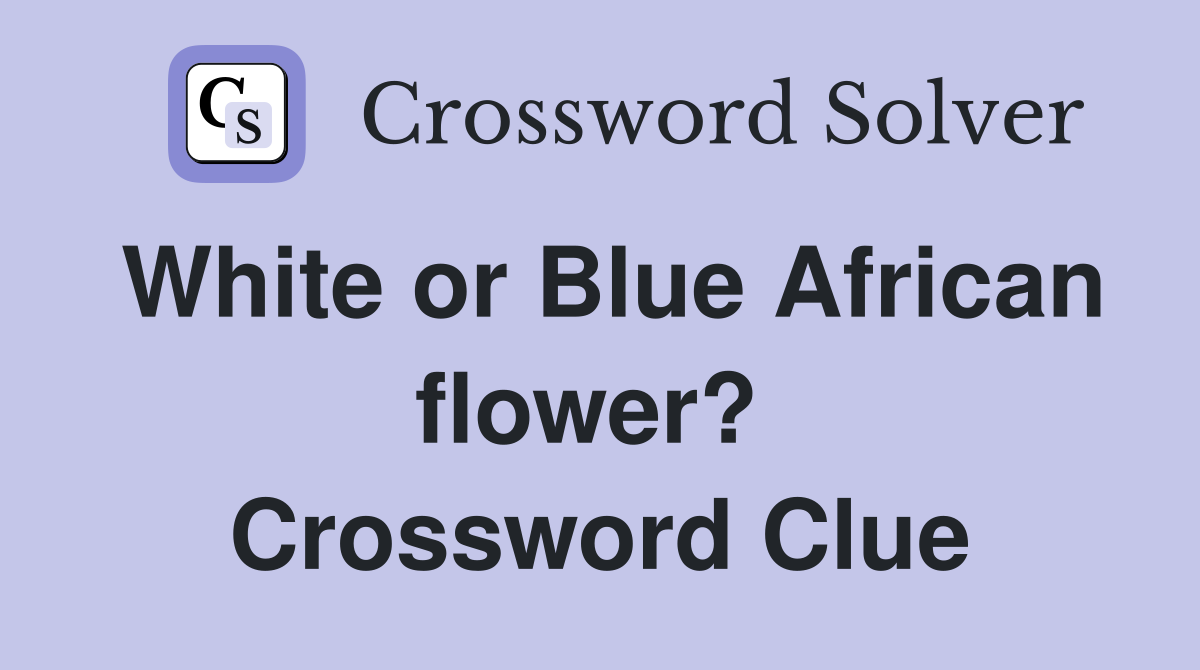 White or Blue African flower?  Crossword Clue