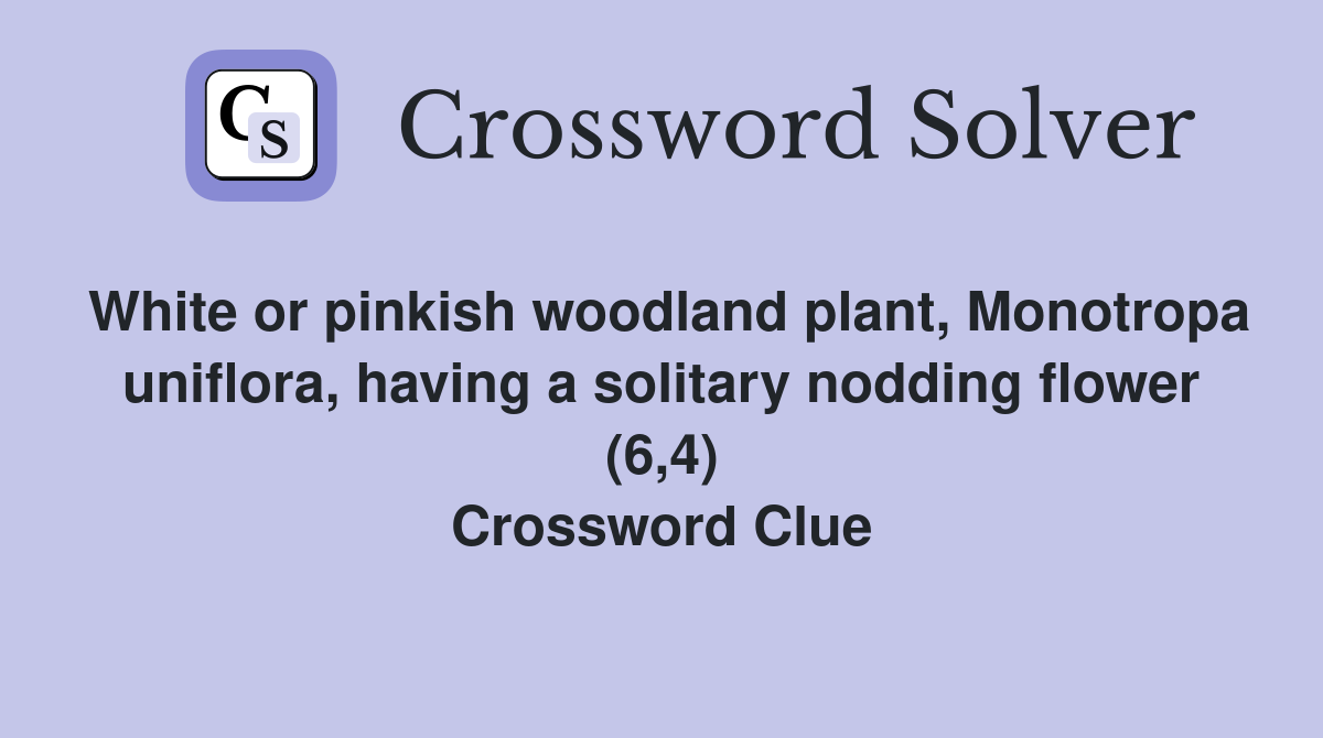 White or pinkish woodland plant, Monotropa uniflora, having a solitary nodding flower (6,4) Crossword Clue