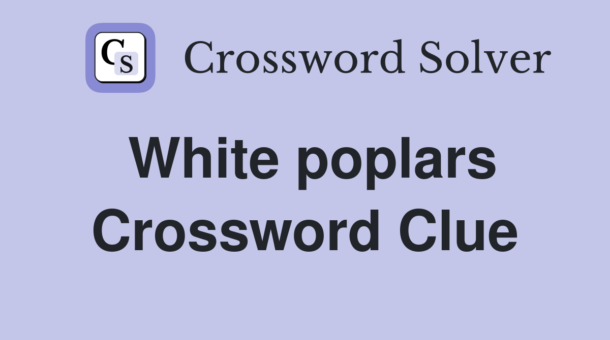 White poplars Crossword Clue