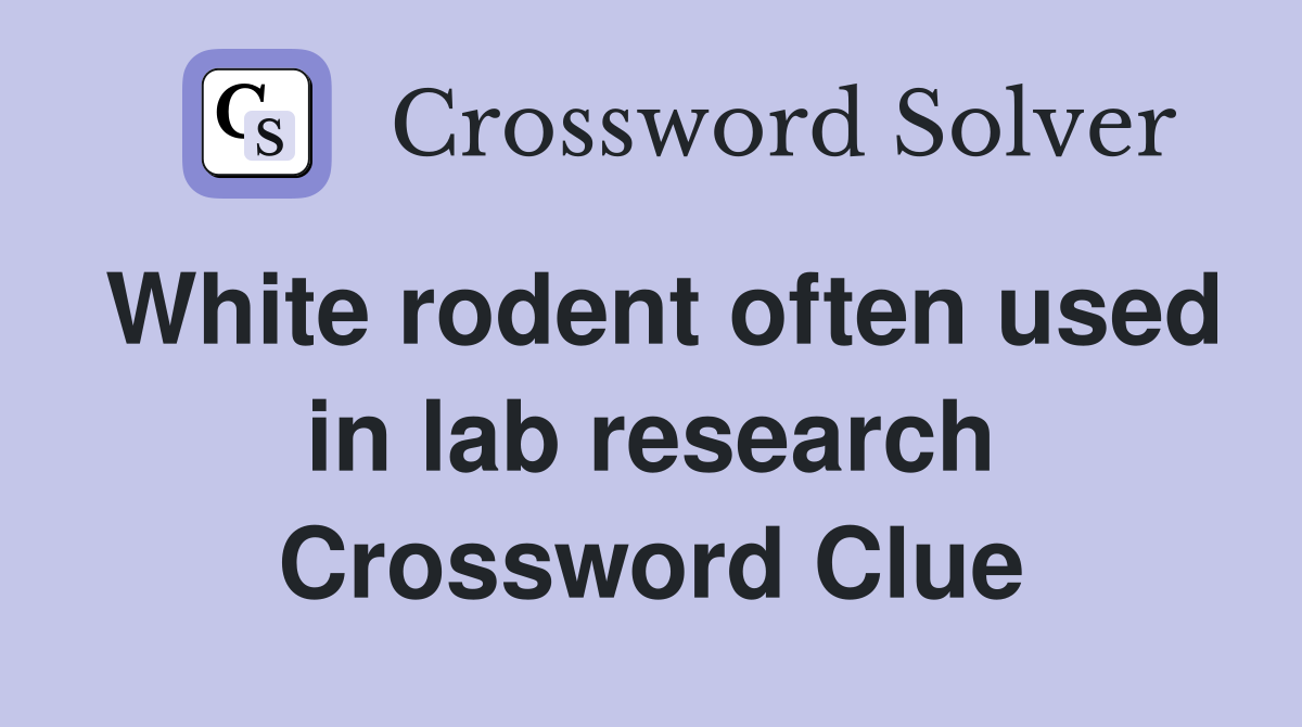 White rodent often used in lab research Crossword Clue