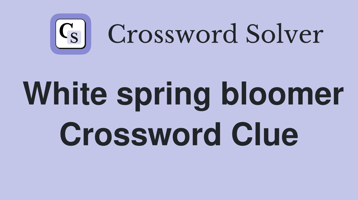 White spring bloomer Crossword Clue