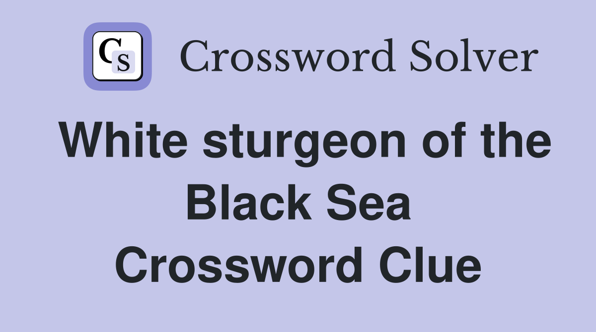 White sturgeon of the Black Sea Crossword Clue