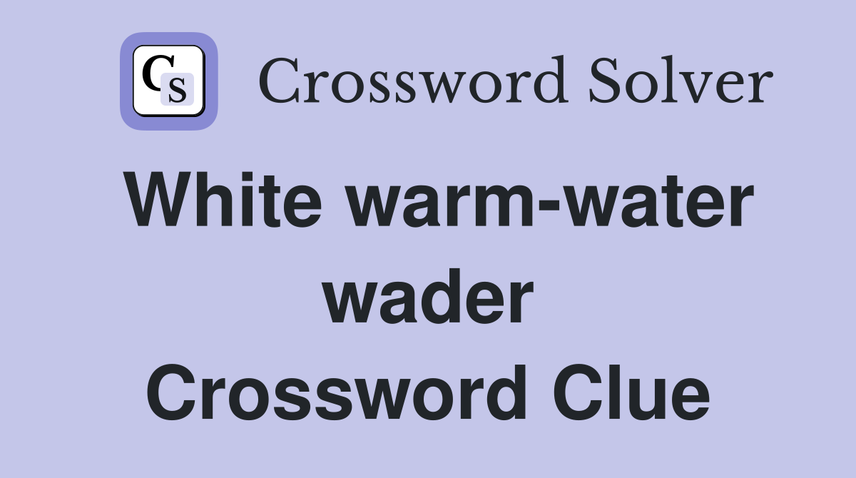 White warm-water wader Crossword Clue
