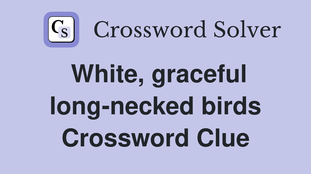 White, graceful long-necked birds Crossword Clue