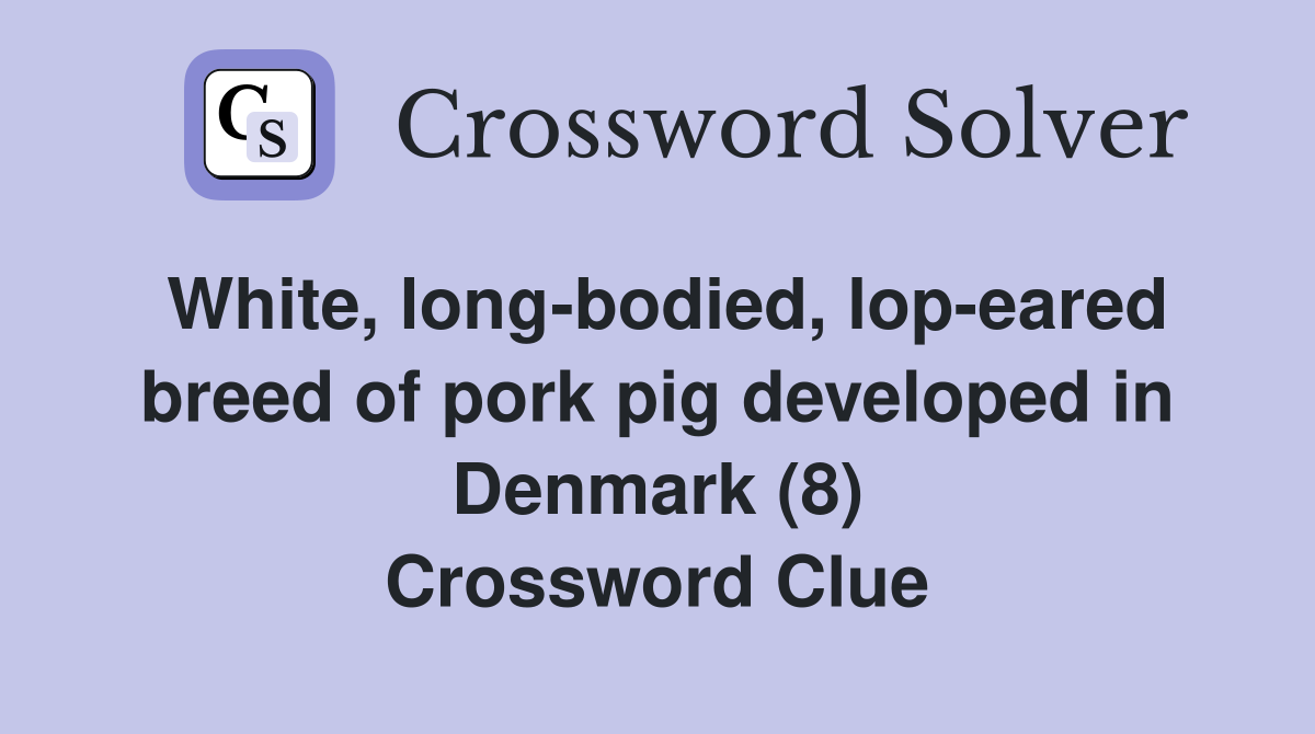 White, long-bodied, lop-eared breed of pork pig developed in Denmark (8) Crossword Clue