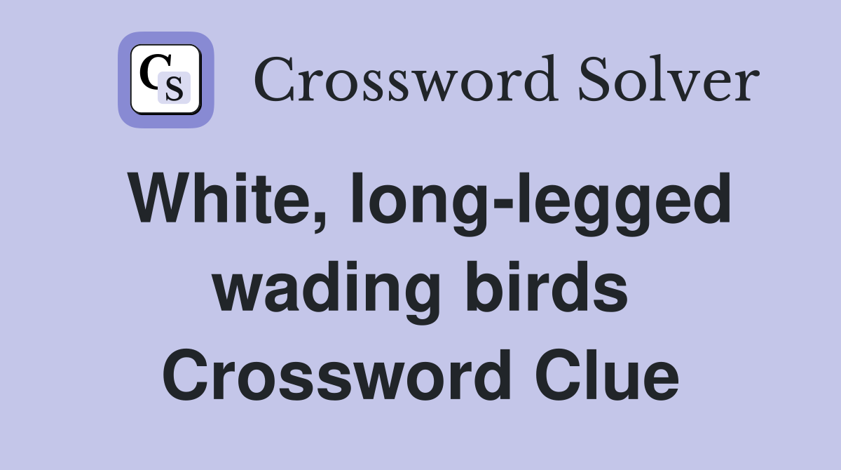 White, long-legged wading birds Crossword Clue