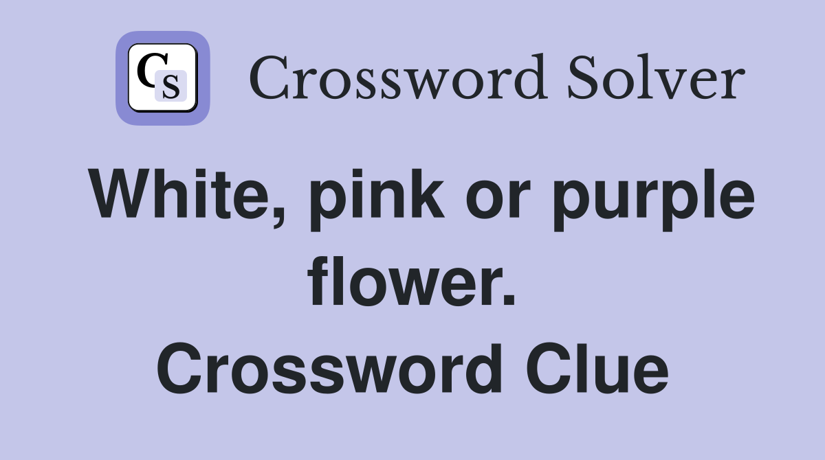 White, pink or purple flower. Crossword Clue