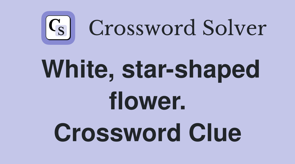 White, star-shaped flower. Crossword Clue