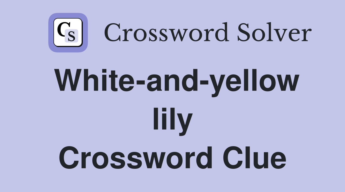 White-and-yellow lily Crossword Clue