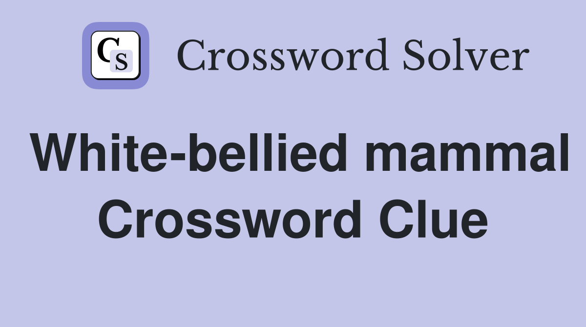 White-bellied mammal Crossword Clue