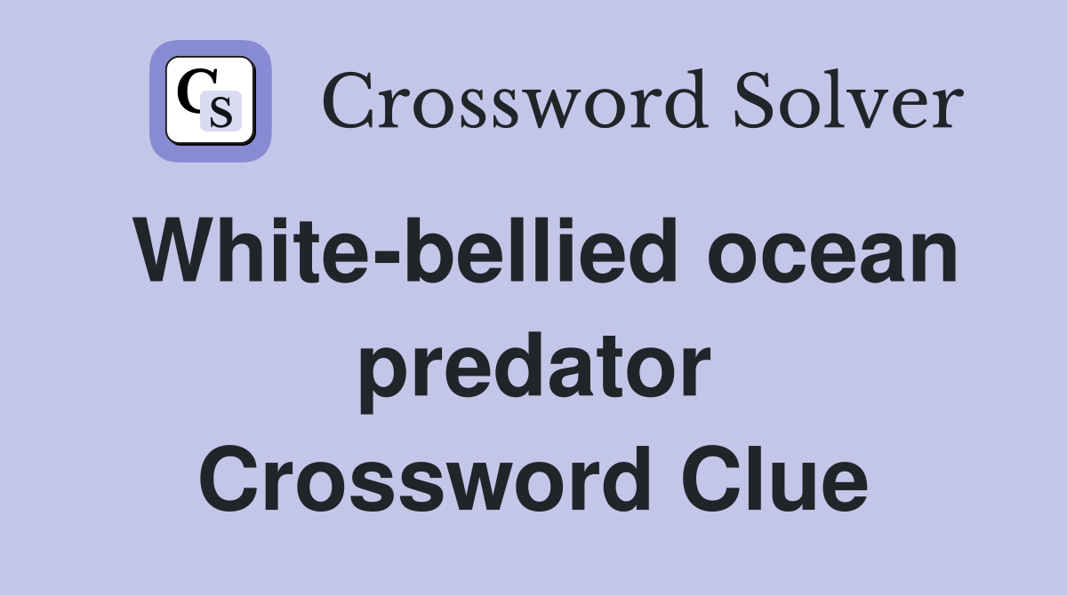 White-bellied ocean predator Crossword Clue