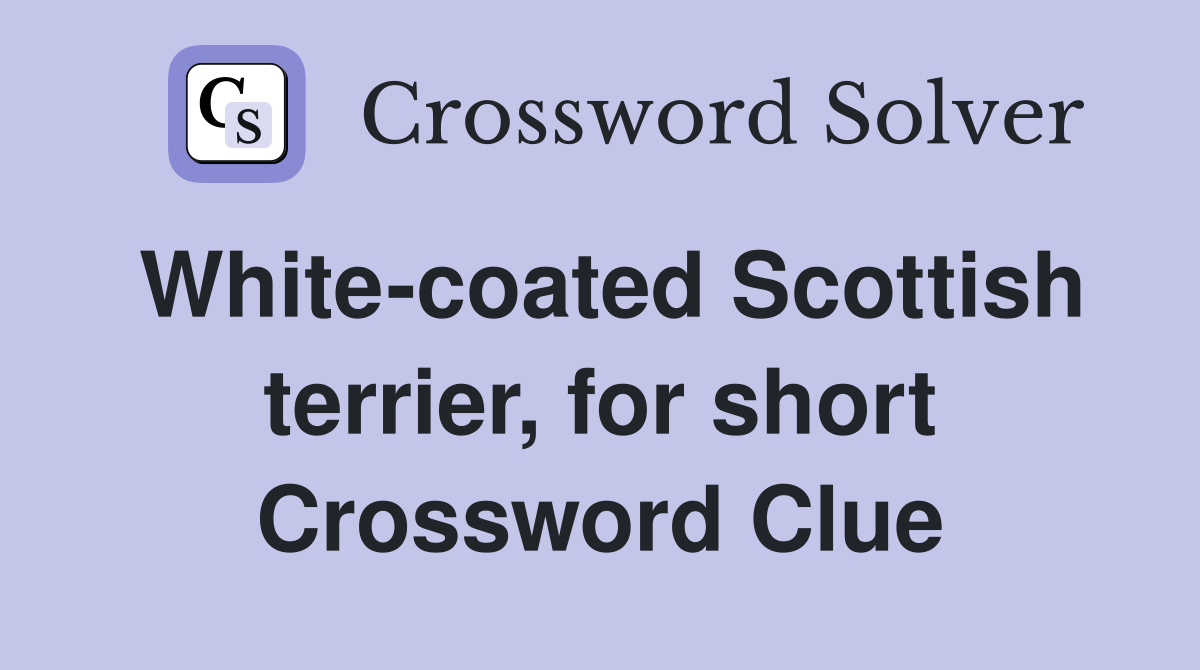 White-coated Scottish terrier, for short Crossword Clue