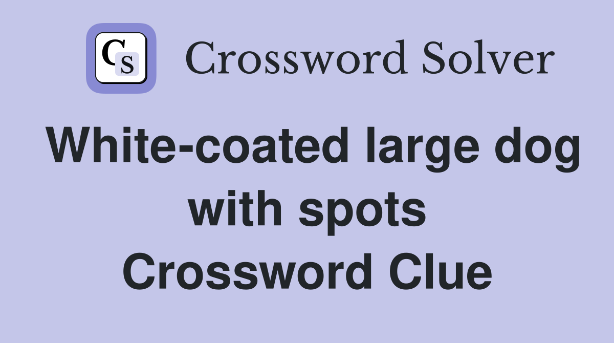 White-coated large dog with spots Crossword Clue