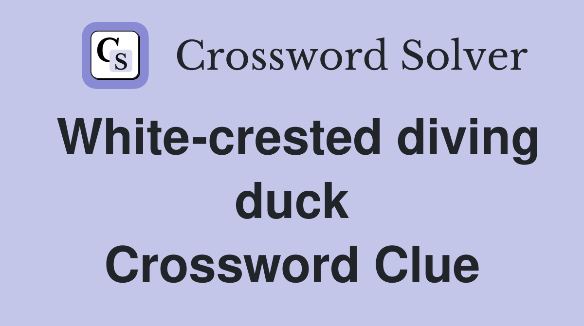 White-crested diving duck Crossword Clue