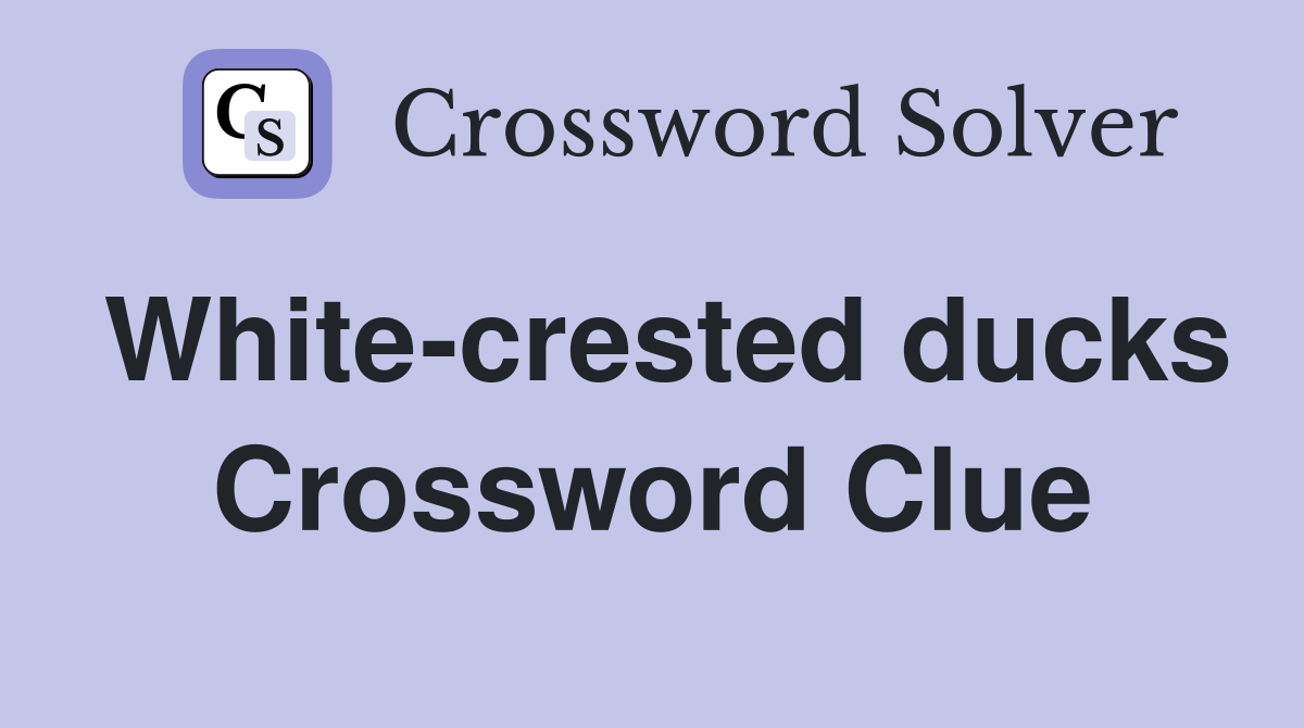 White-crested ducks Crossword Clue