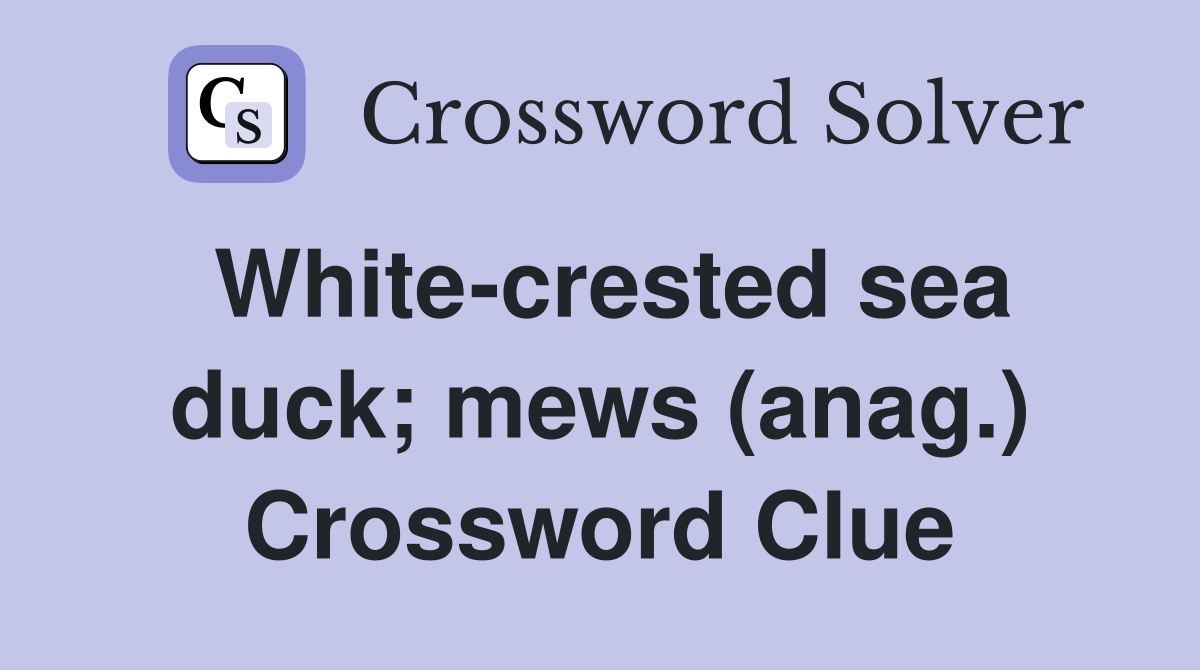 White-crested sea duck; mews (anag.) Crossword Clue