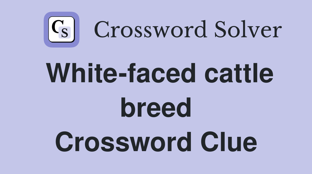 White-faced cattle breed Crossword Clue