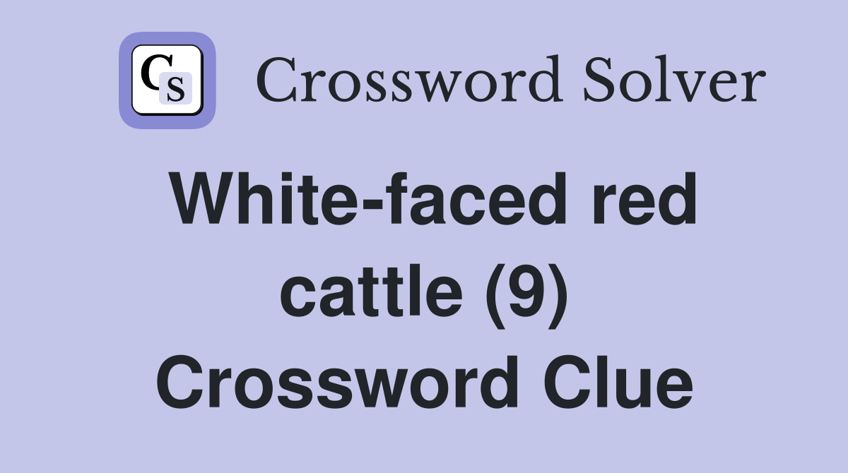 White-faced red cattle (9) Crossword Clue