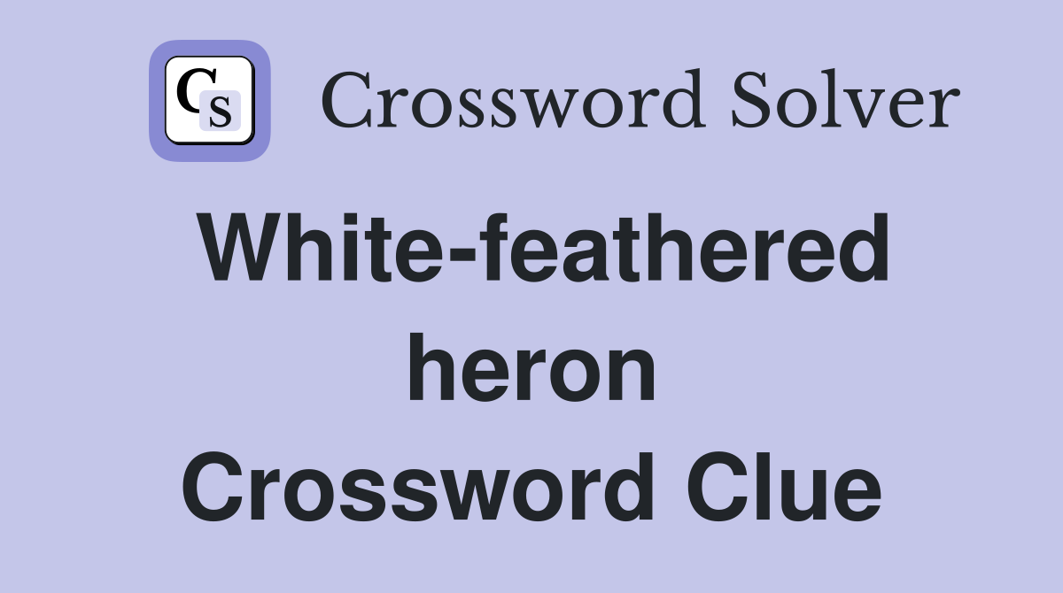 White-feathered heron Crossword Clue