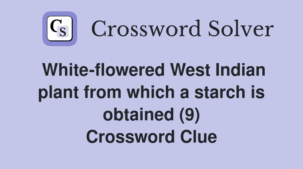 White-flowered West Indian plant from which a starch is obtained (9) Crossword Clue