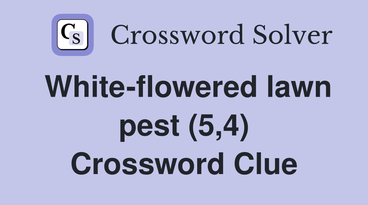 White-flowered lawn pest (5,4) Crossword Clue