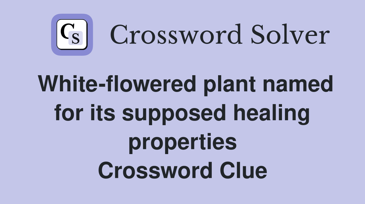 White-flowered plant named for its supposed healing properties Crossword Clue
