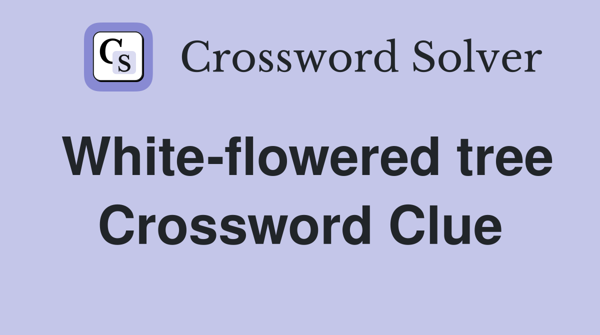 White-flowered tree Crossword Clue