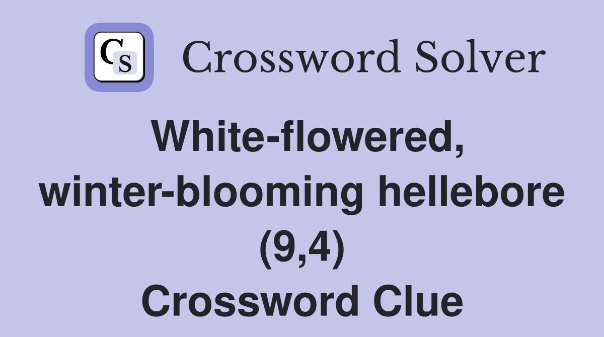 White-flowered, winter-blooming hellebore (9,4) Crossword Clue