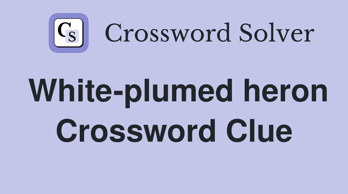 White-plumed heron Crossword Clue