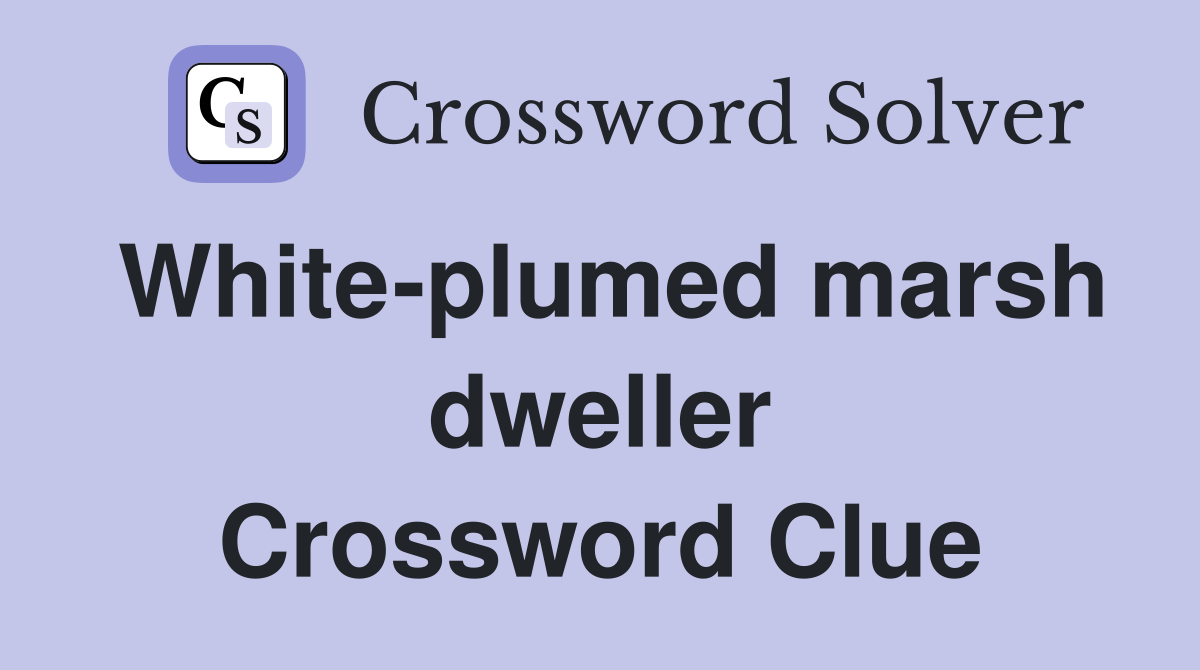 White-plumed marsh dweller Crossword Clue