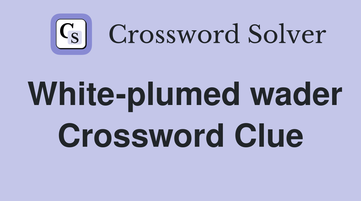 White-plumed wader Crossword Clue