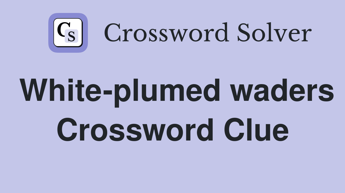 White-plumed waders Crossword Clue