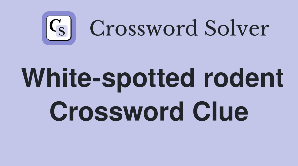 White-spotted rodent Crossword Clue