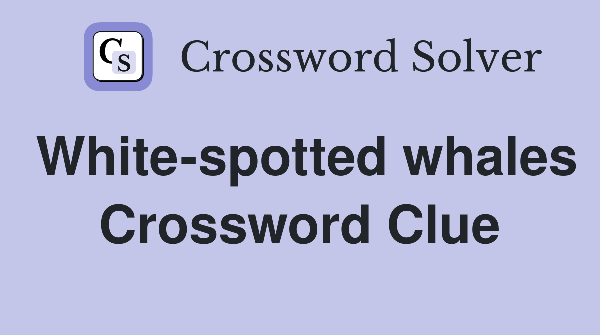White-spotted whales Crossword Clue