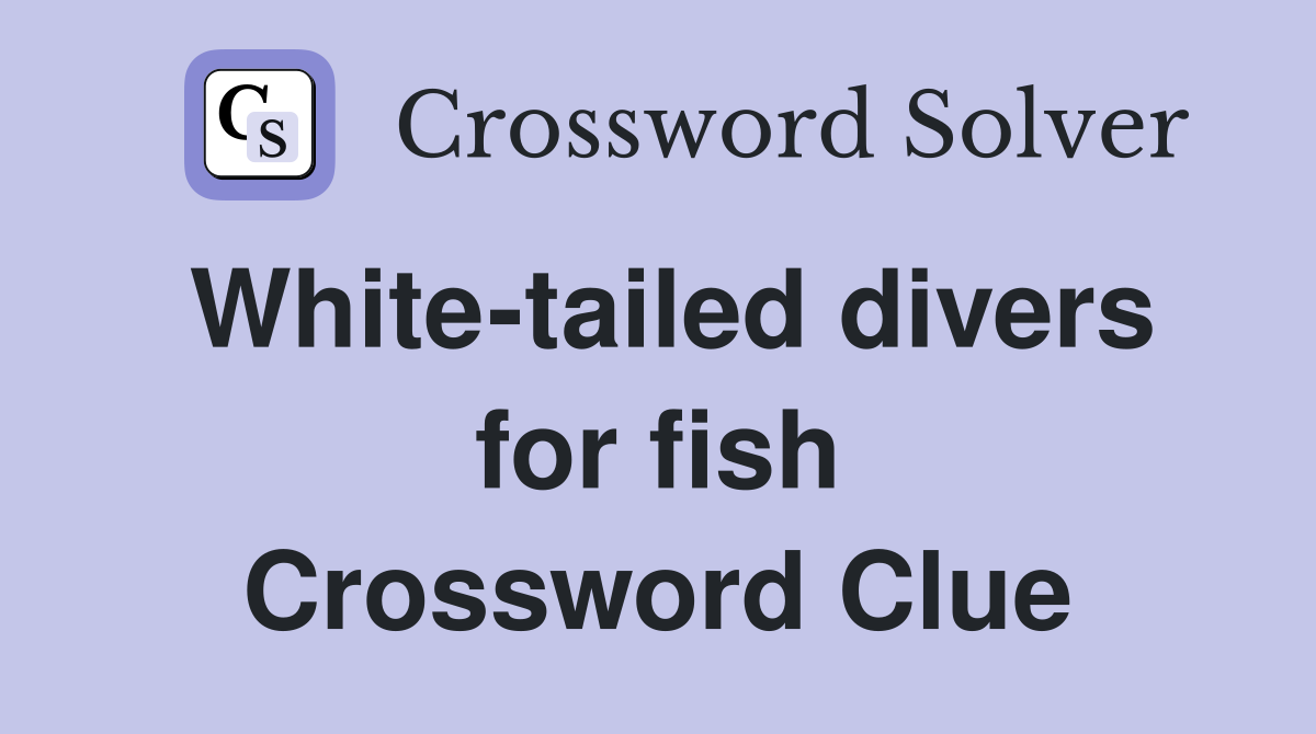 White-tailed divers for fish Crossword Clue