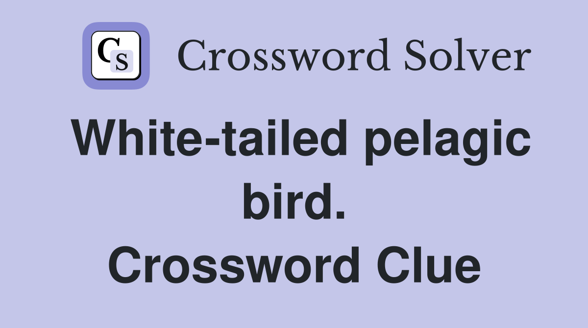 White-tailed pelagic bird. Crossword Clue