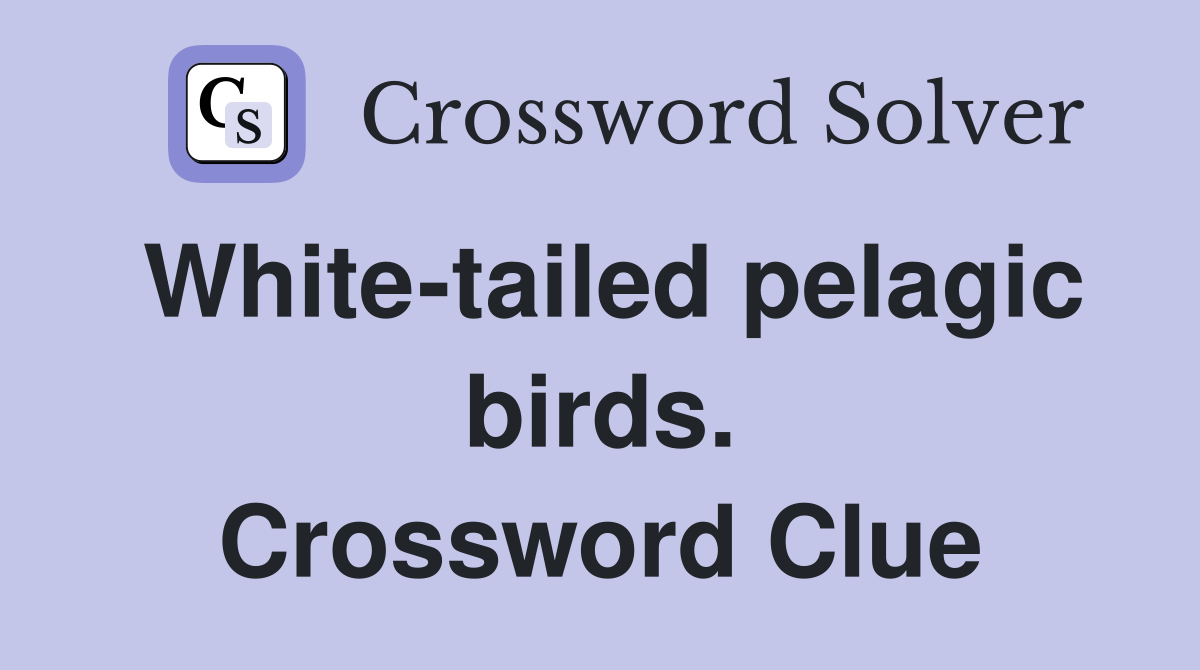 White-tailed pelagic birds. Crossword Clue