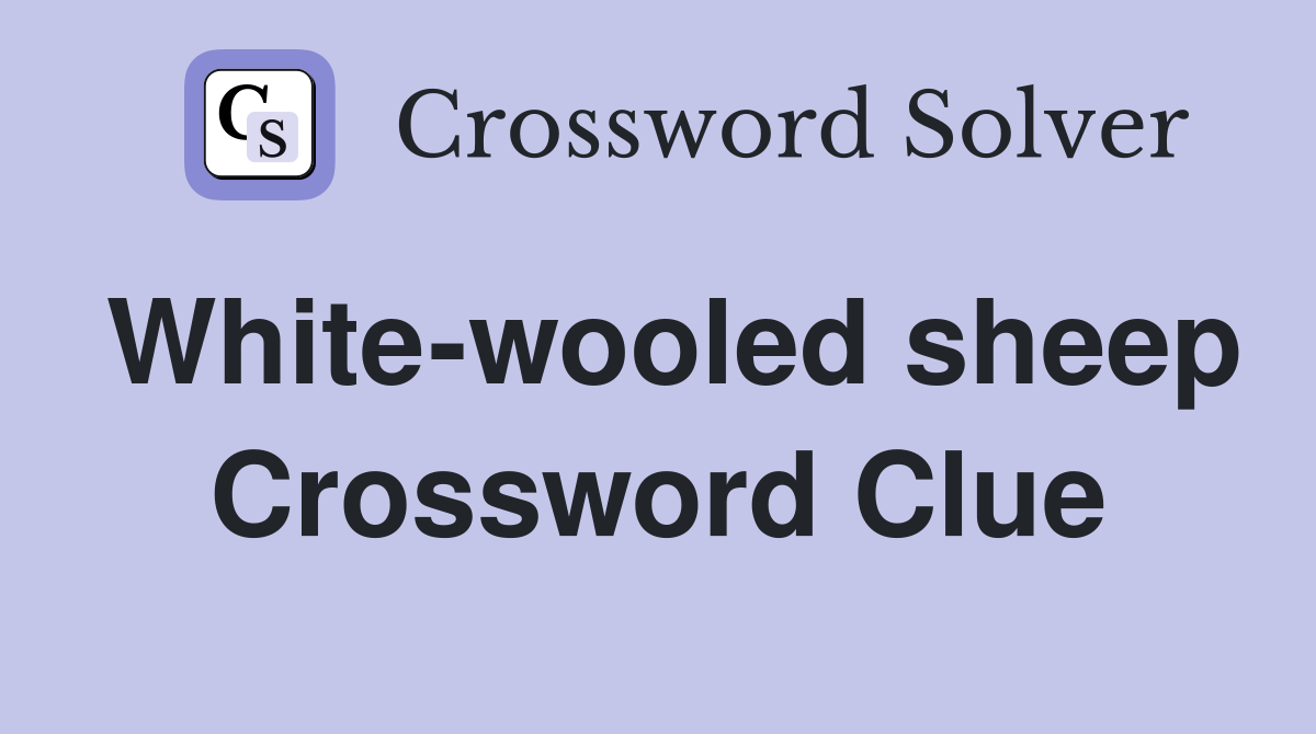 White-wooled sheep Crossword Clue