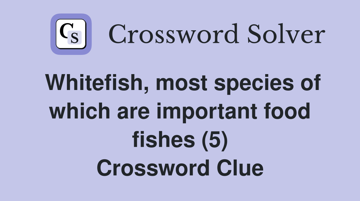 Whitefish, most species of which are important food fishes (5) Crossword Clue