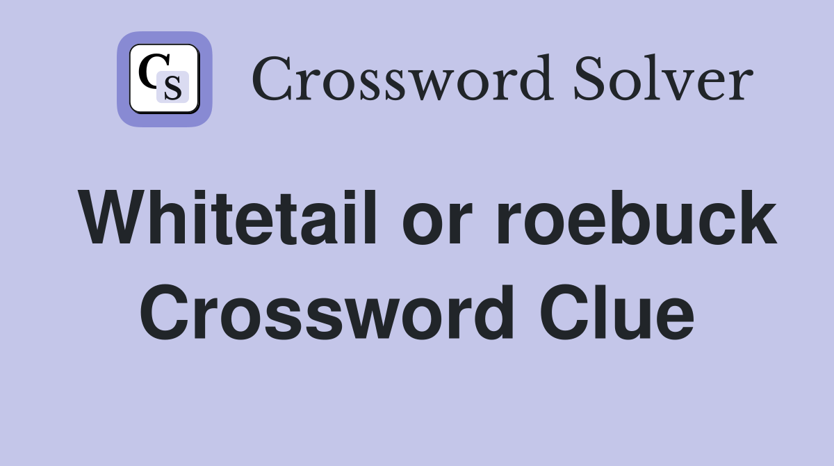 Whitetail or roebuck Crossword Clue