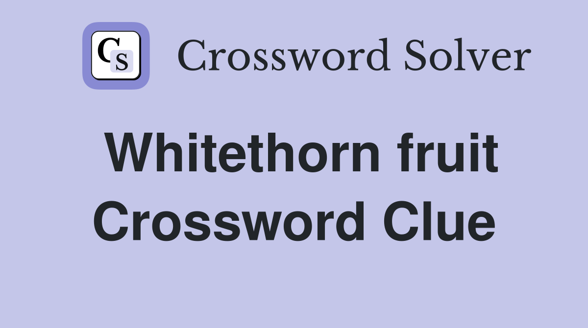 Whitethorn fruit Crossword Clue