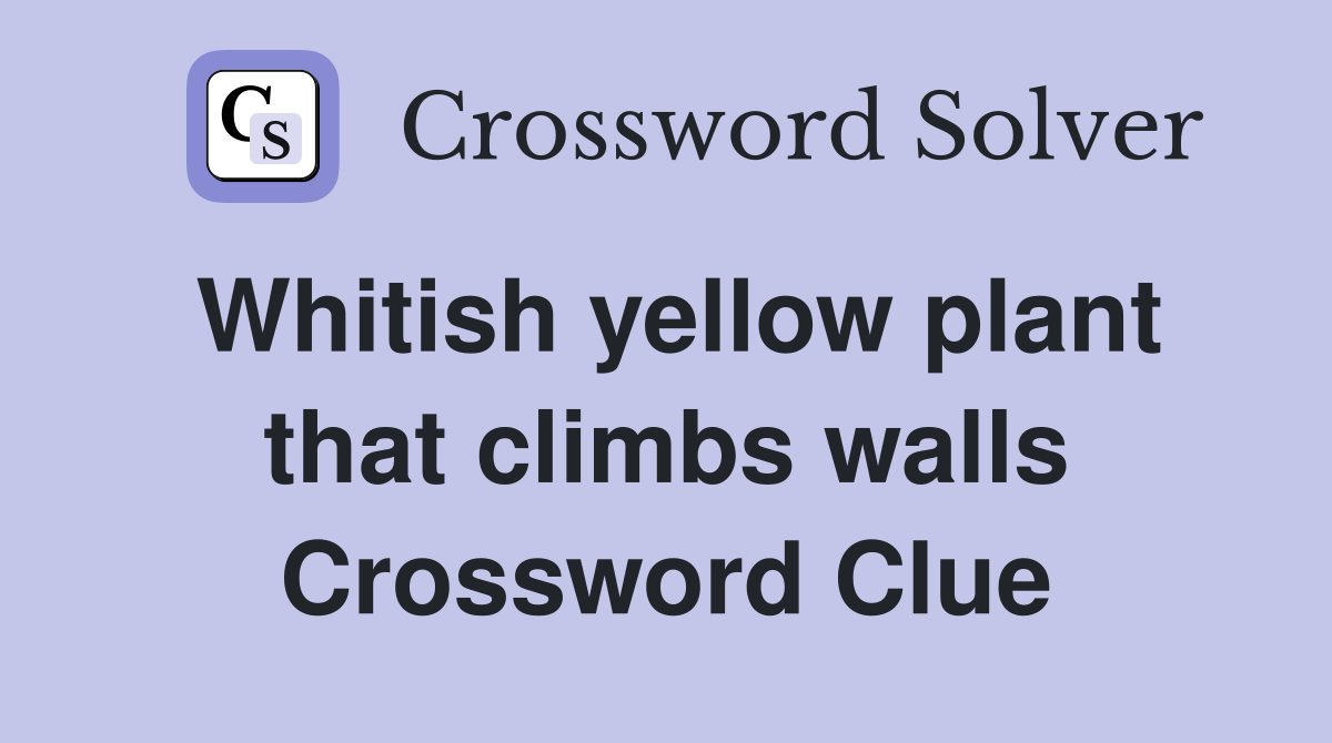Whitish yellow plant that climbs walls Crossword Clue