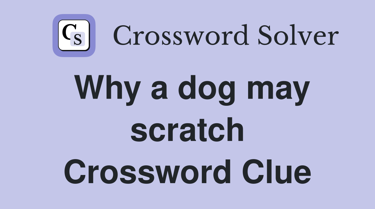 Why a dog may scratch Crossword Clue