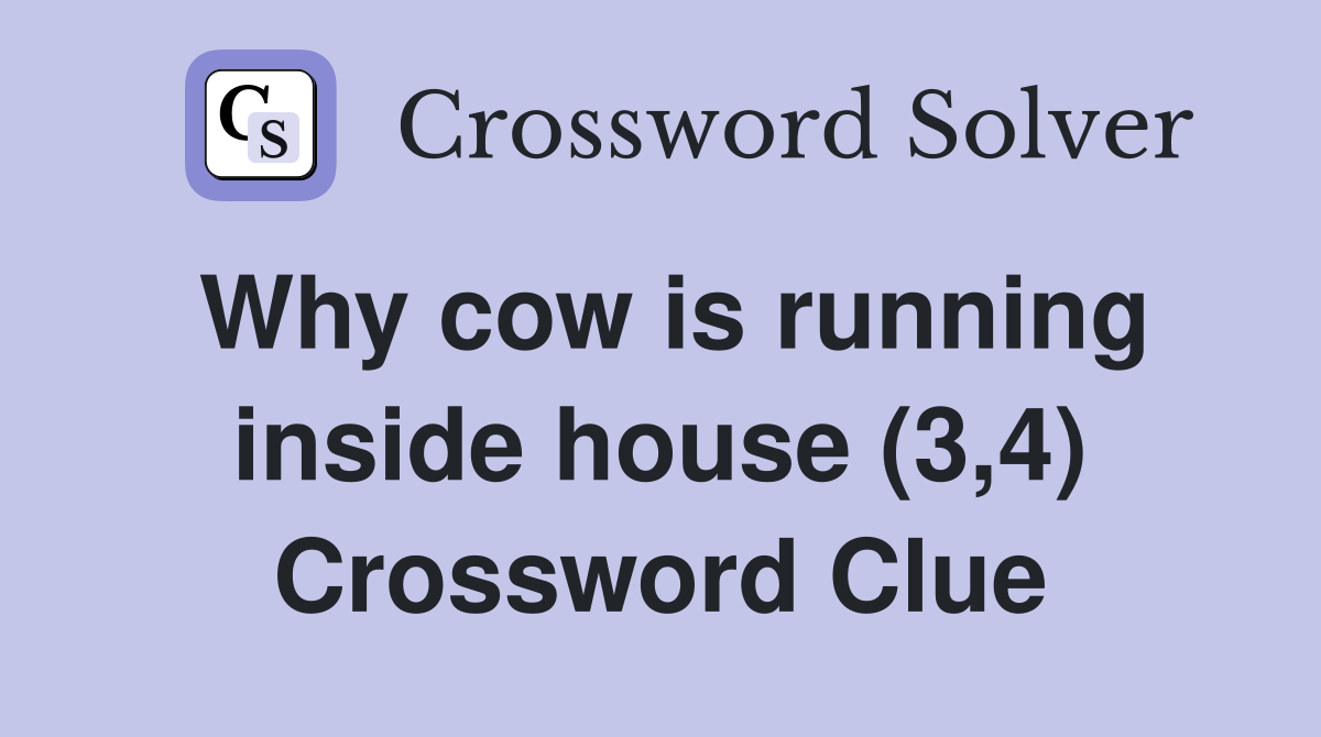 Why cow is running inside house (3,4) Crossword Clue