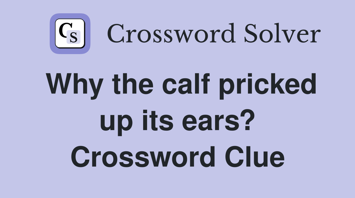 Why the calf pricked up its ears? Crossword Clue