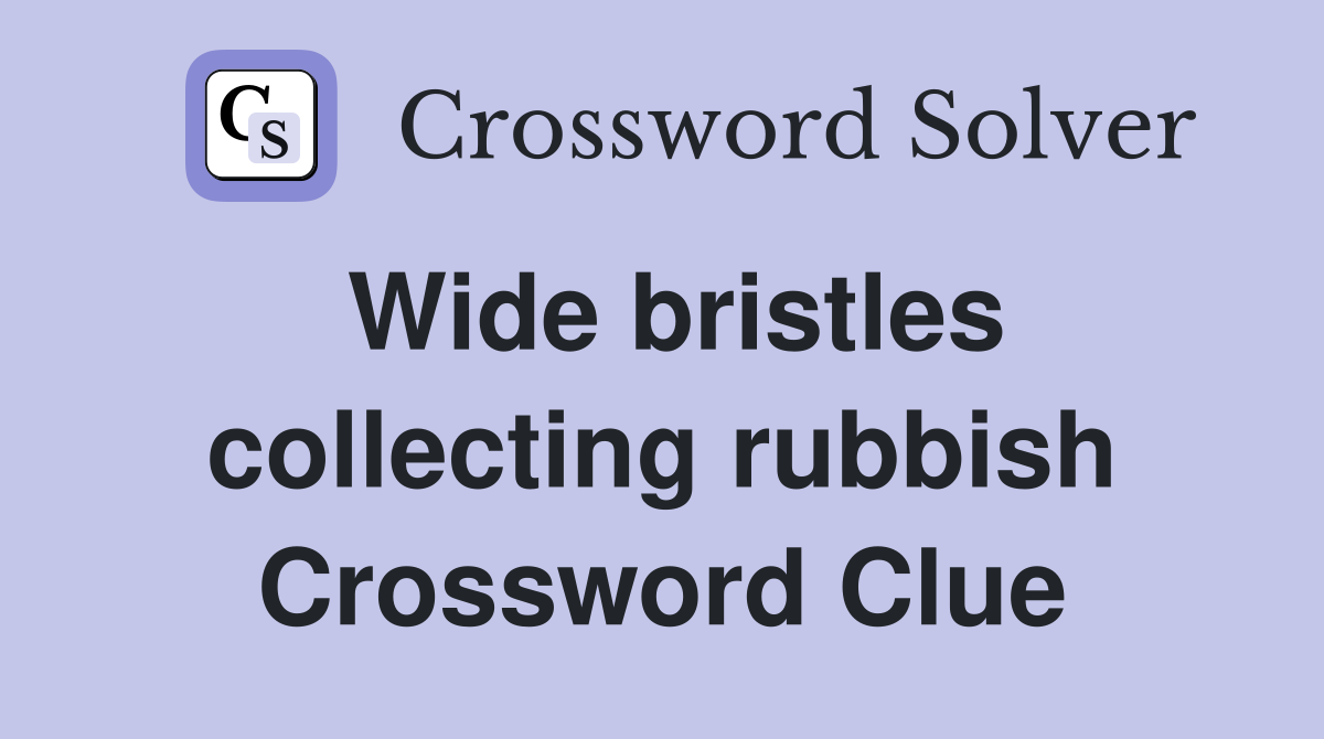 Wide bristles collecting rubbish Crossword Clue