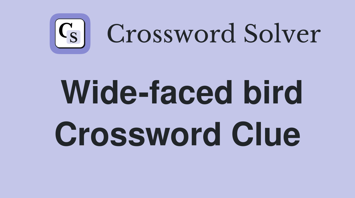 Wide-faced bird Crossword Clue